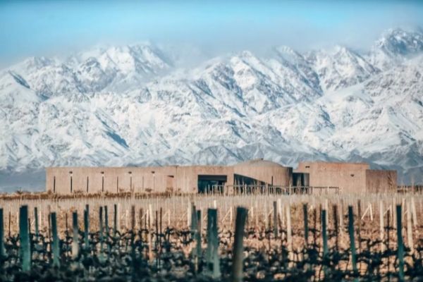 Video: A trip to Argentina to discover Bemberg Estate Wines