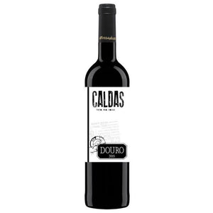 Alves de Sousa Caldas 2016 Douro Red Wine